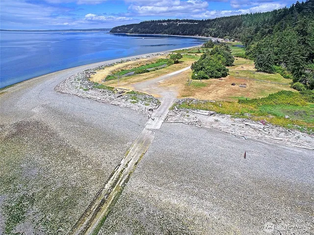 a view of a dry yard with wooden fence