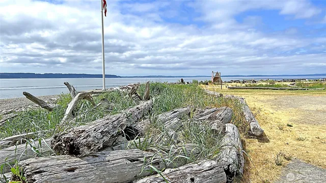 a view of a yard and ocean view