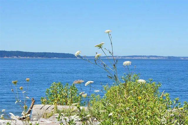 a view of a hardwood area