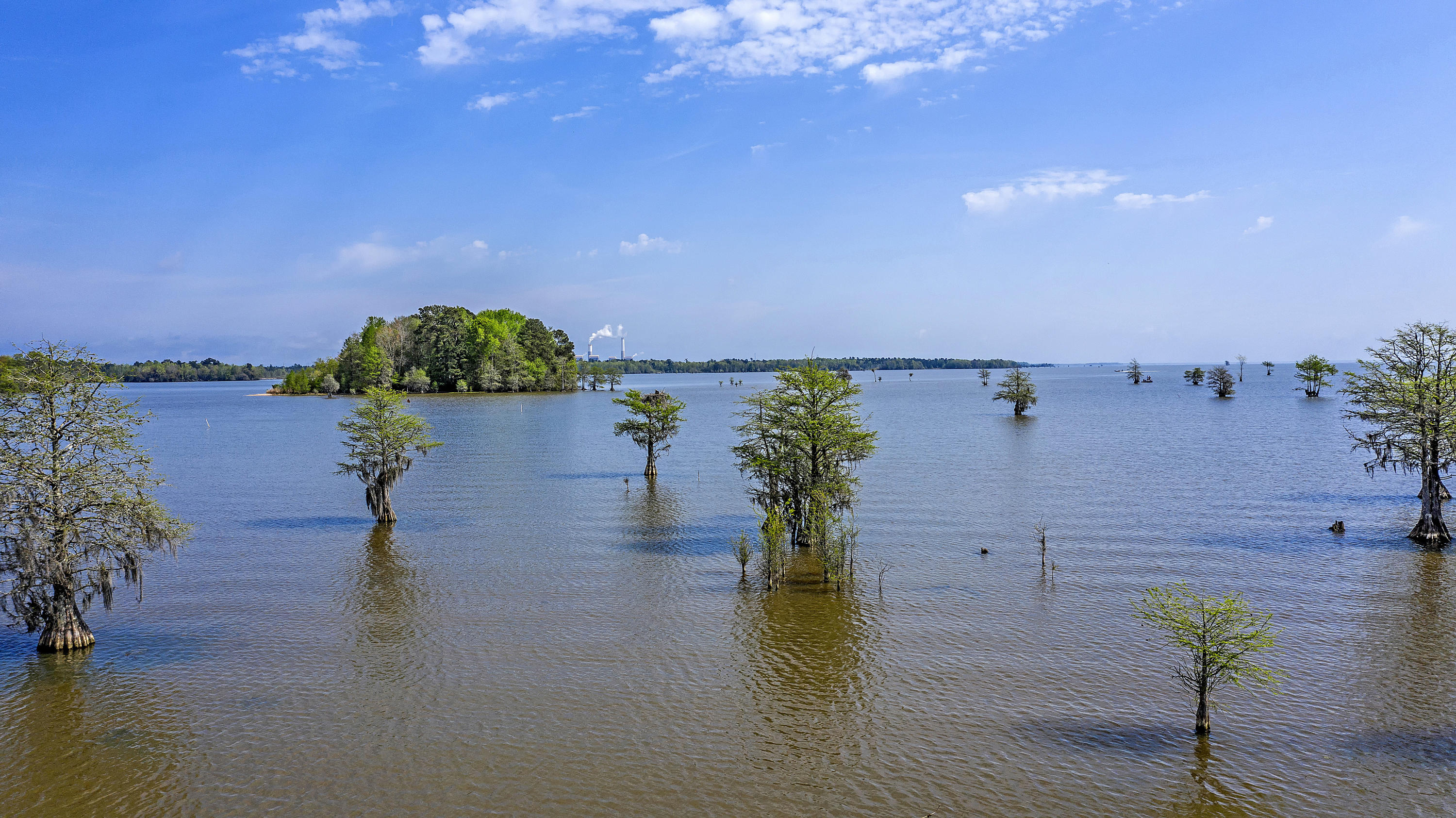 1208 Longpoint Road Cross, SC 29436 - Photo 20 of 20 DJI_0112 copy