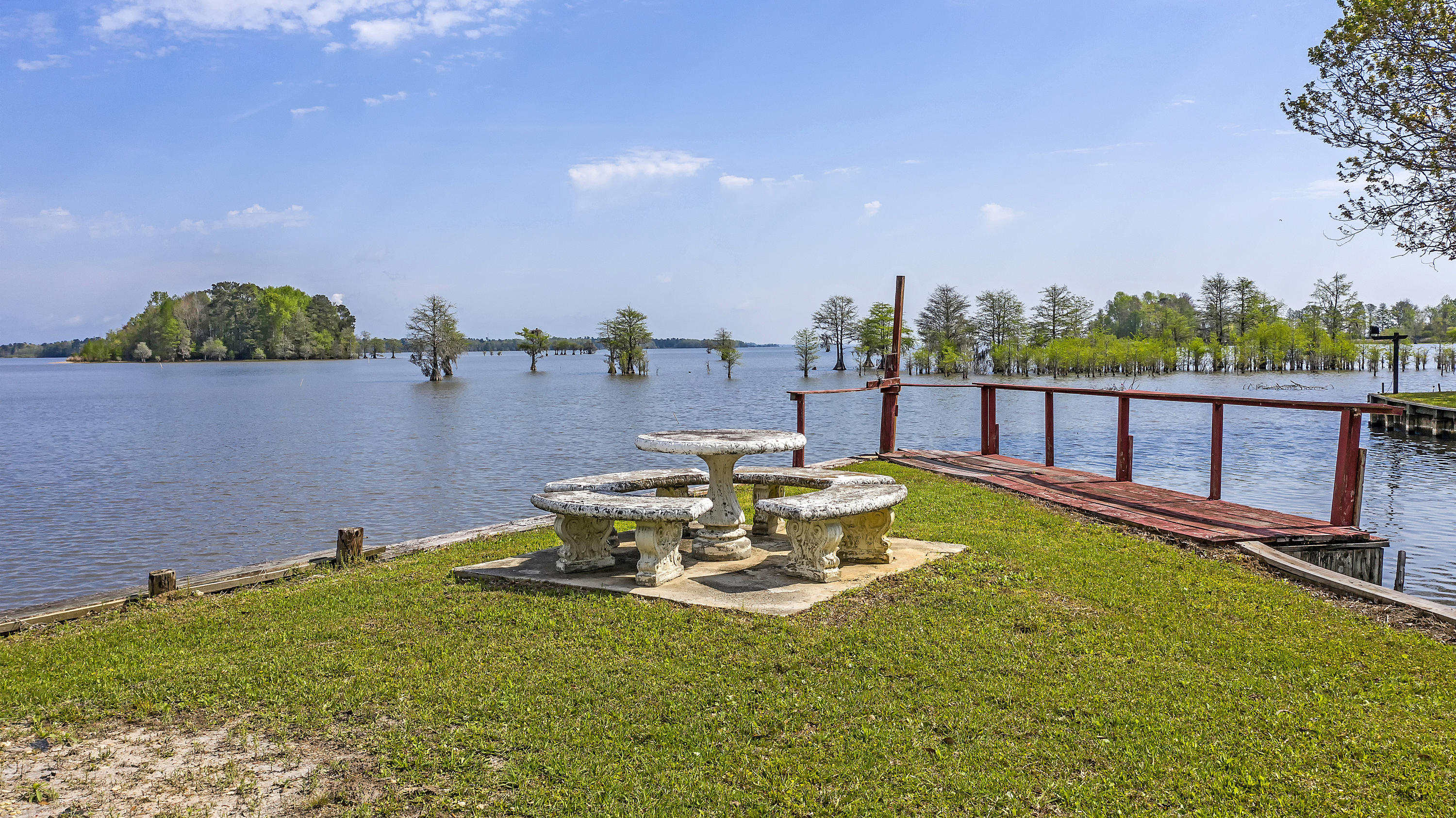 1208 Longpoint Road Cross, SC 29436 - Photo 3 of 20 DJI_0108 copy