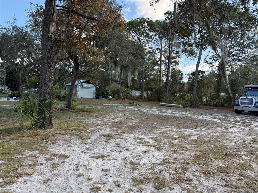 14208 Mayer Avenue Hudson, FL 34669 - Photo 26 of 29 a view of a yard with large trees