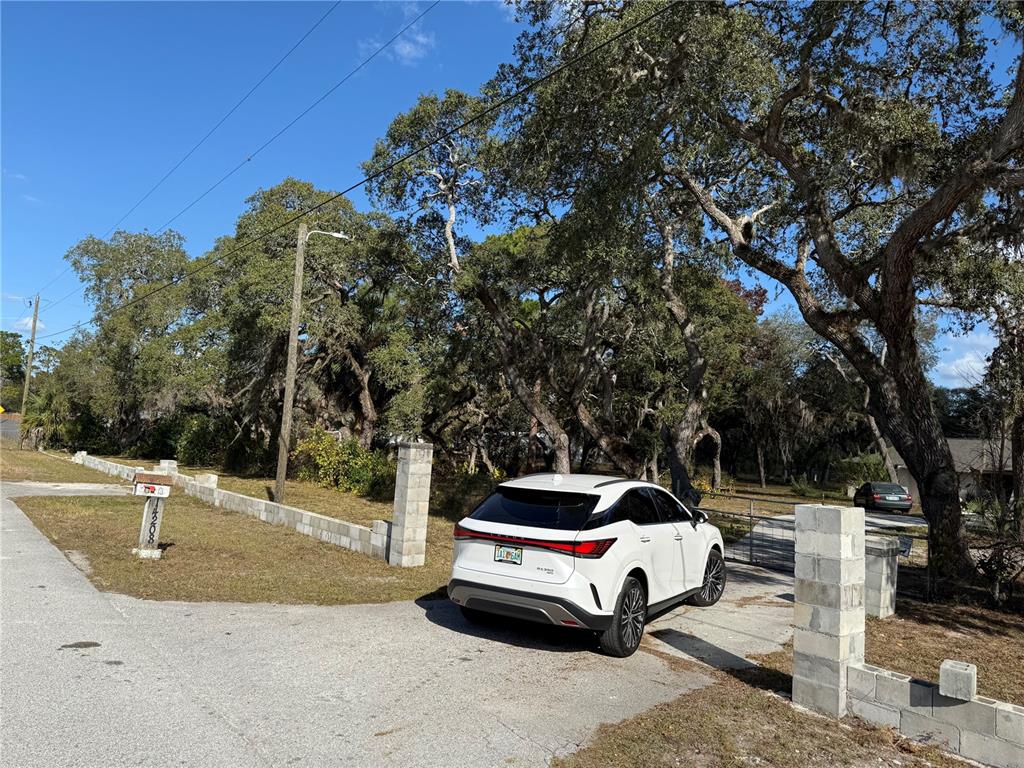 14208 Mayer Avenue Hudson, FL 34669 - Photo 29 of 29 a white house covered with tall trees
