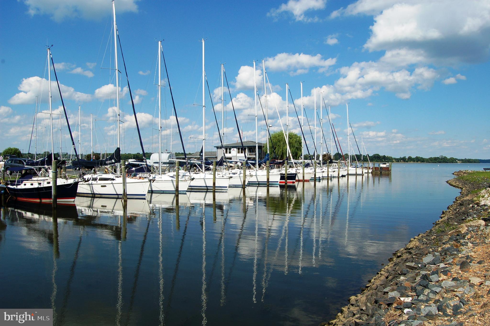 a view of water with boats and trees in the background