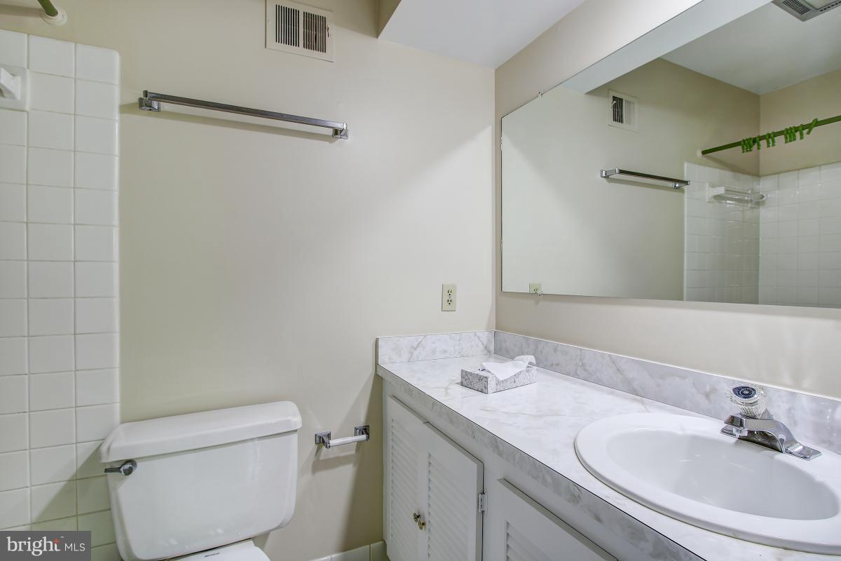 2409 Myrtle Lane Reston, VA 20191 - Photo 16 of 30 Bath (Master)