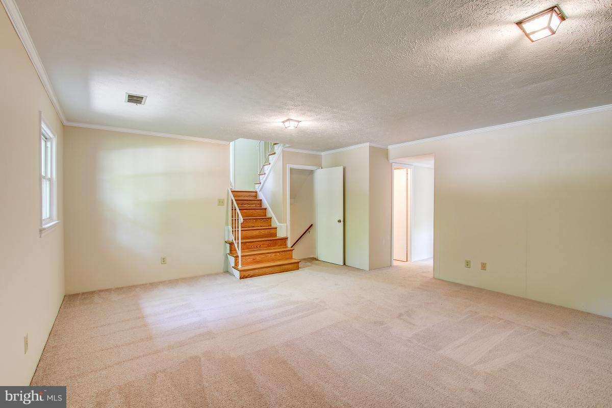 2409 Myrtle Lane Reston, VA 20191 - Photo 22 of 30 New carpet!
