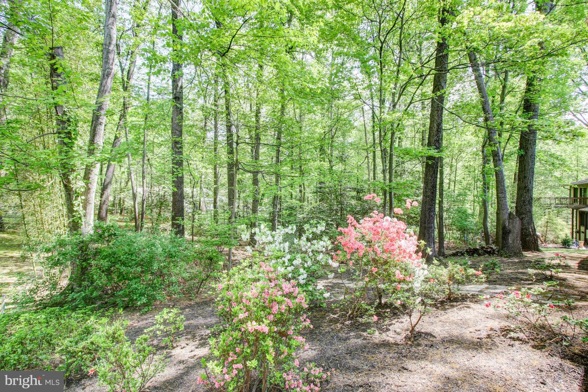 2409 Myrtle Lane Reston, VA 20191 - Photo 29 of 30 Beautiful yard!