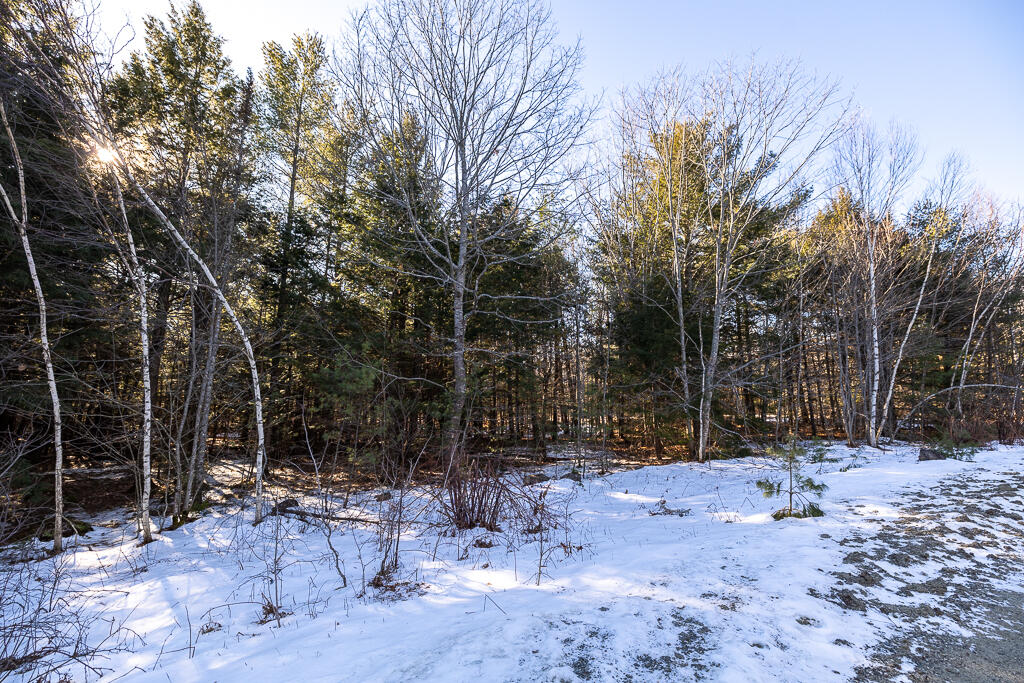 Lot 14-4 Mcgrath Pond Loop Road Belgrade, ME 04917 - Photo 29 of 29 HY3A5015