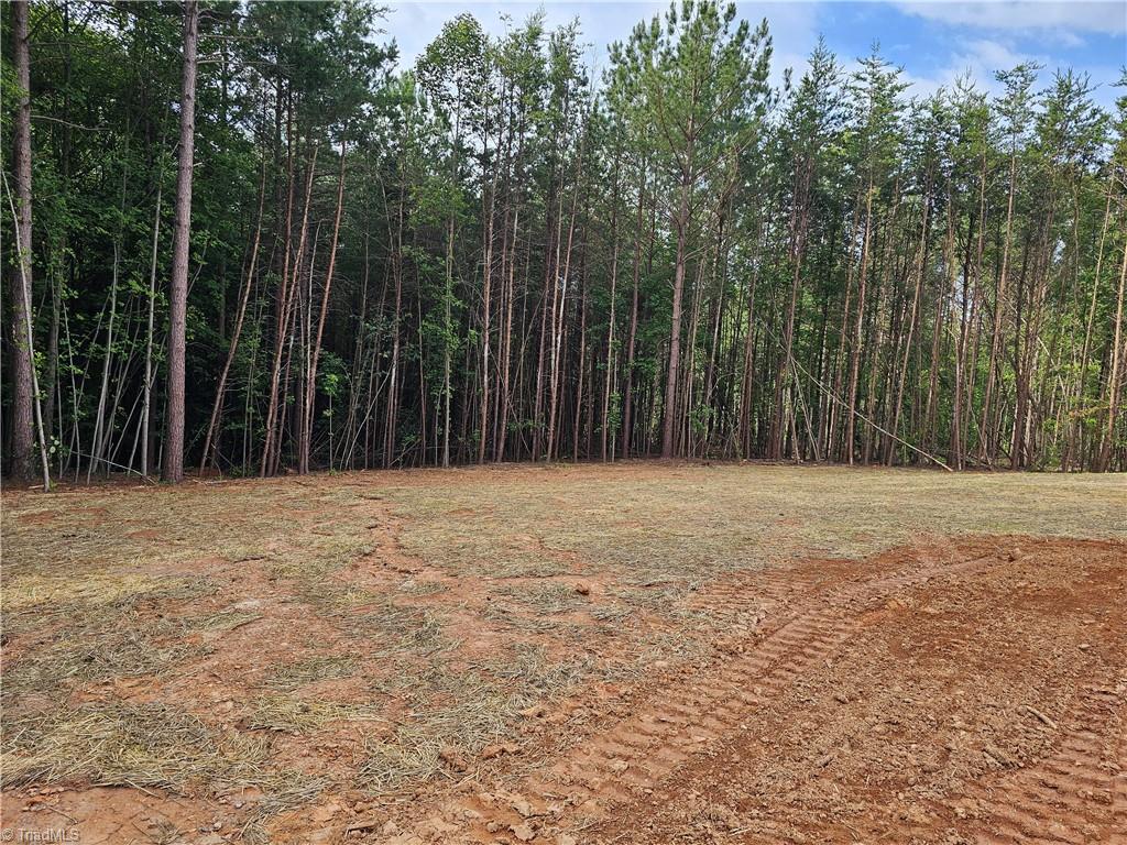 972 McBride Road Mount Airy, NC 27030 - Photo 19 of 23