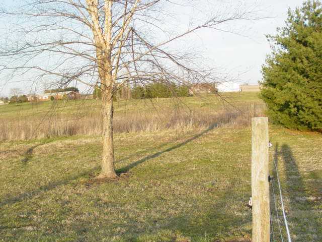28600 Jackson Road Kingston, OH 45644 - Photo 4 of 8 Gallery Image 4