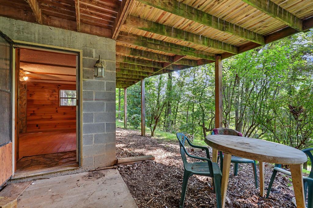 3477 Salem Road Mineral Bluff, GA 30559 - Photo 35 of 55