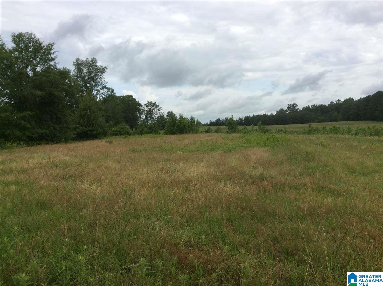 1395 County Road 152 Jemison, AL 35085 - Photo 12 of 26