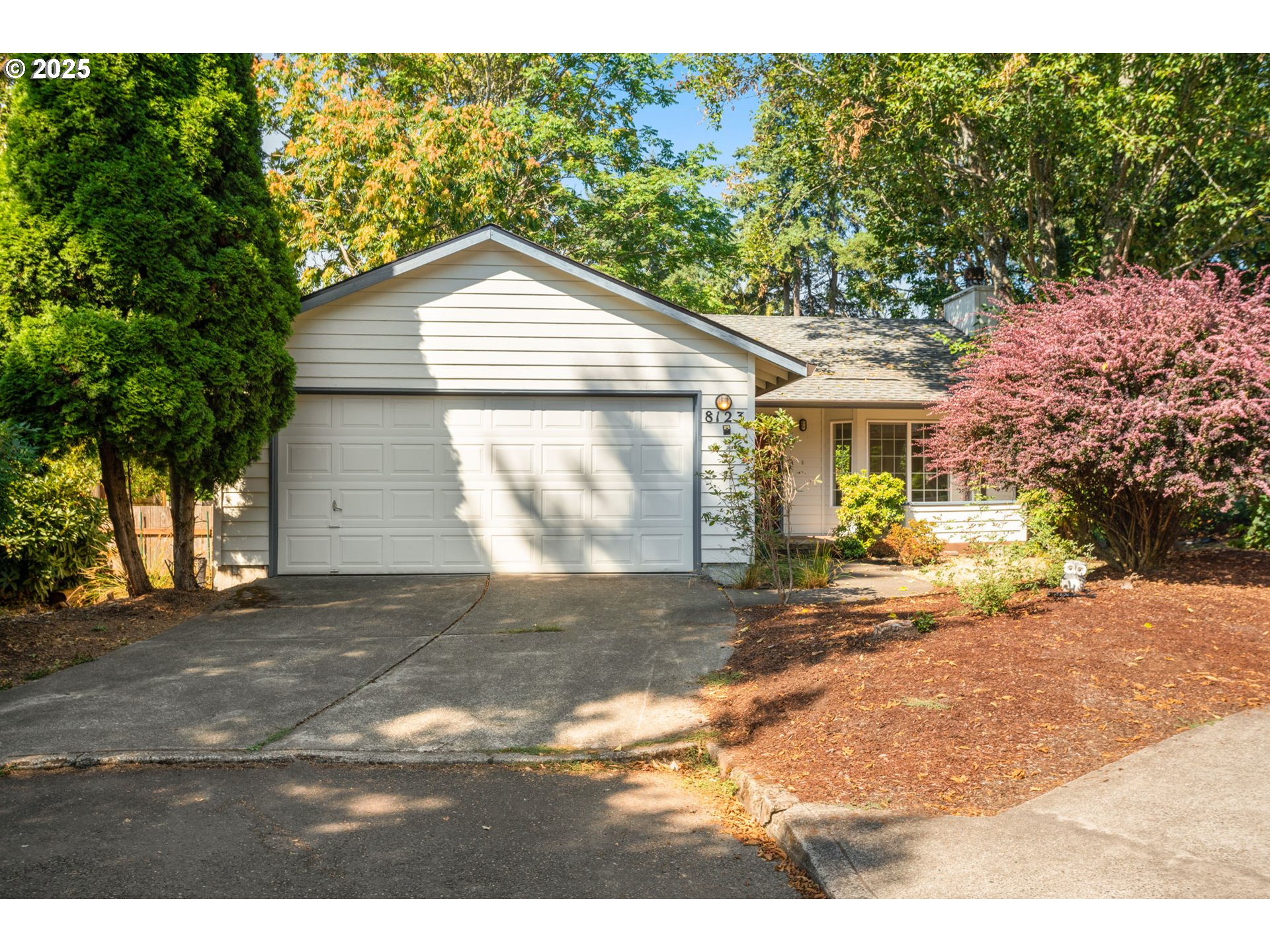a view of a house with a yard and garage