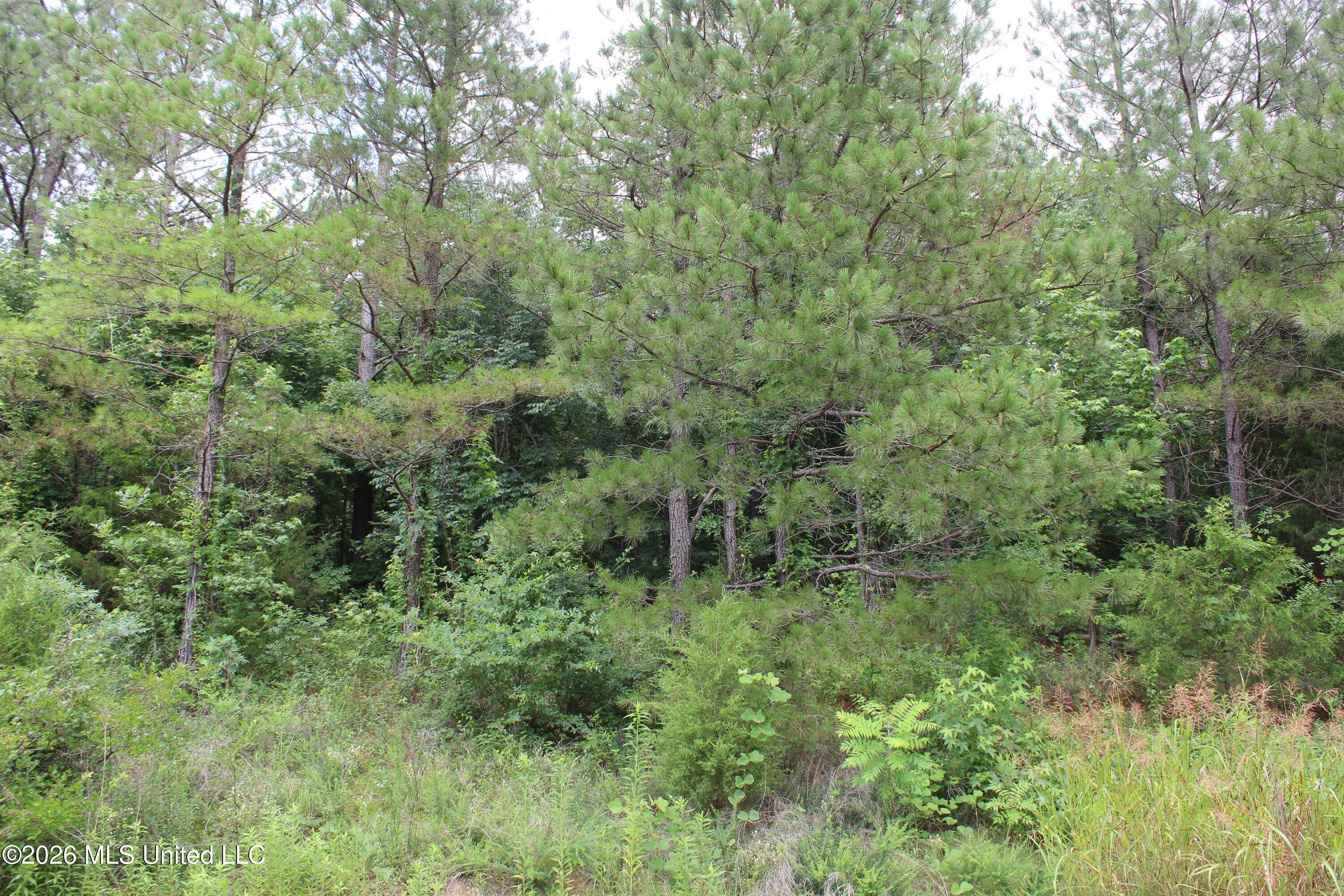 900 Cooper Road Byhalia, MS 38611 - Photo 28 of 28 IMG_7968