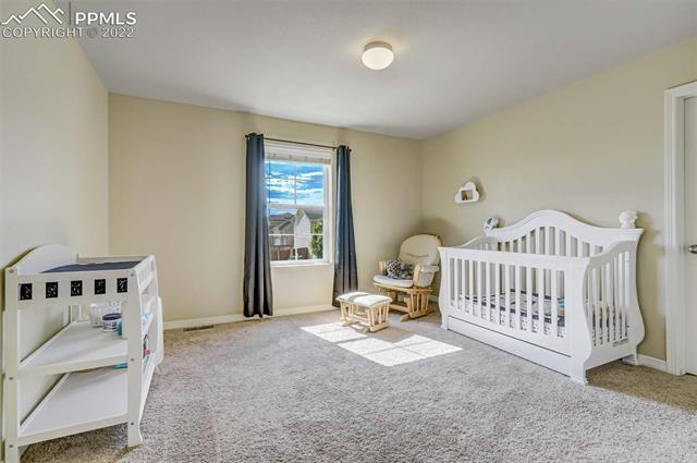2055 Reed Grass Way Colorado Springs, CO 80915 - Photo 19 of 25