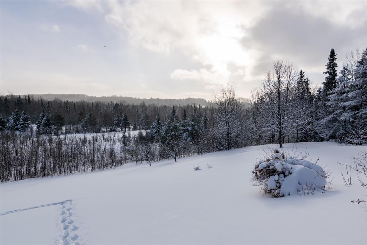 334 Tetreault Road Cabot, VT 05647 - Photo 11 of 40 Gallery Image 11
