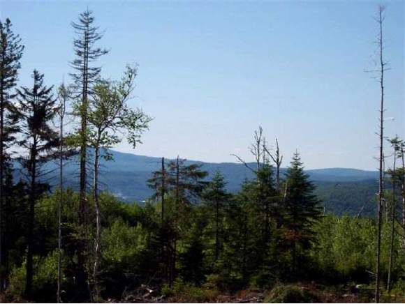 * Quimby Road Stewartstown, NH 03592 - Photo 1 of 8