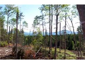 * Quimby Road Stewartstown, NH 03592 - Photo 2 of 8