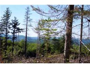 * Quimby Road Stewartstown, NH 03592 - Photo 3 of 8