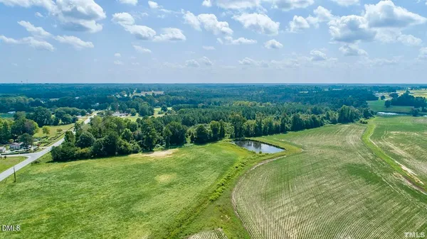 a view of a big yard with potted plants and large trees