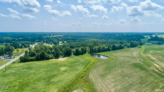 a view of a big yard with potted plants and large trees