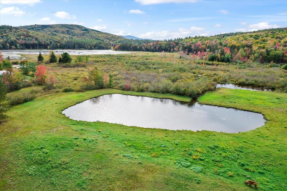 0 Burbee Pond Road Windham, VT 05359 - Photo 1 of 11