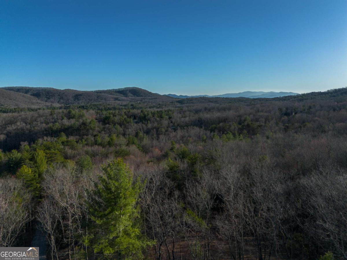 802 Mull Valley Road Morganton, GA 30560 - Photo 11 of 75 a view of a lush green forest with a mountain