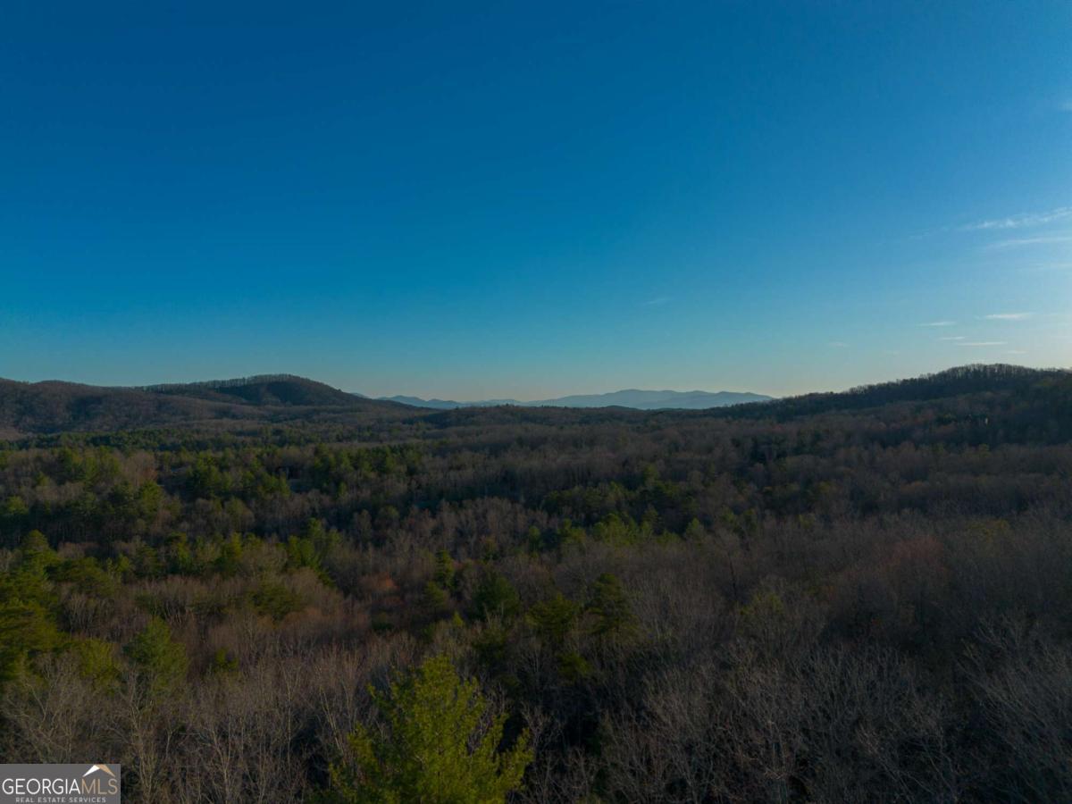802 Mull Valley Road Morganton, GA 30560 - Photo 13 of 75 a view of a lush green forest with a mountain in the background
