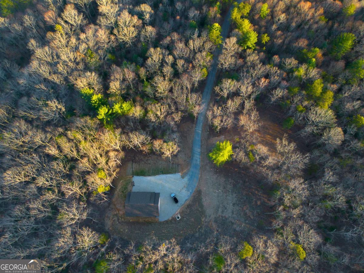 802 Mull Valley Road Morganton, GA 30560 - Photo 4 of 75