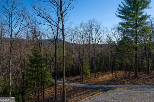 $620,000 | 802 Mull Valley Road, Morganton, GA 30560