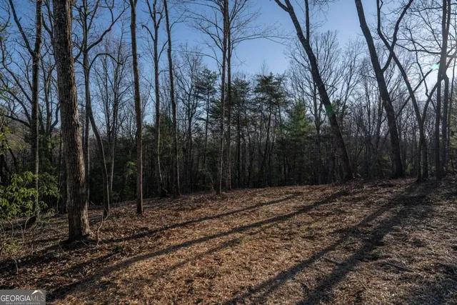 $620,000 | 802 Mull Valley Road, Morganton, GA 30560