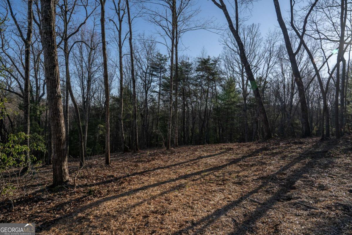 802 Mull Valley Road Morganton, GA 30560 - Photo 67 of 75 a backyard of a house with lots of green space