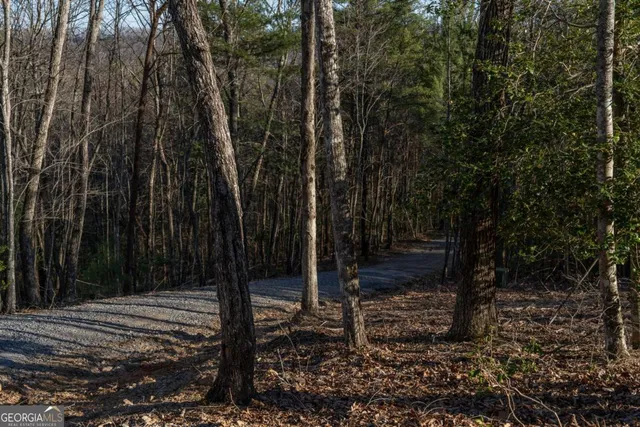 $620,000 | 802 Mull Valley Road, Morganton, GA 30560