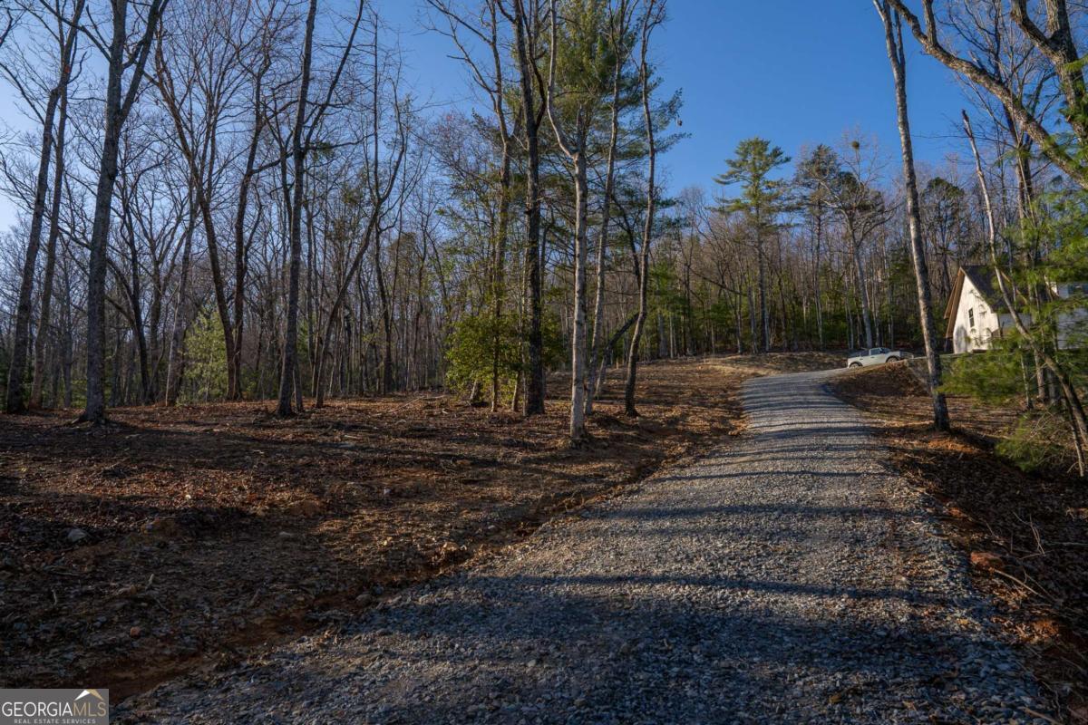 802 Mull Valley Road Morganton, GA 30560 - Photo 71 of 75 a backyard of a house with lots of green space