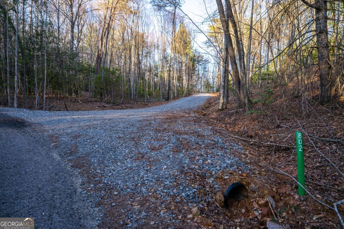 802 Mull Valley Road Morganton, GA 30560 - Photo 72 of 75 a view of a backyard with large trees