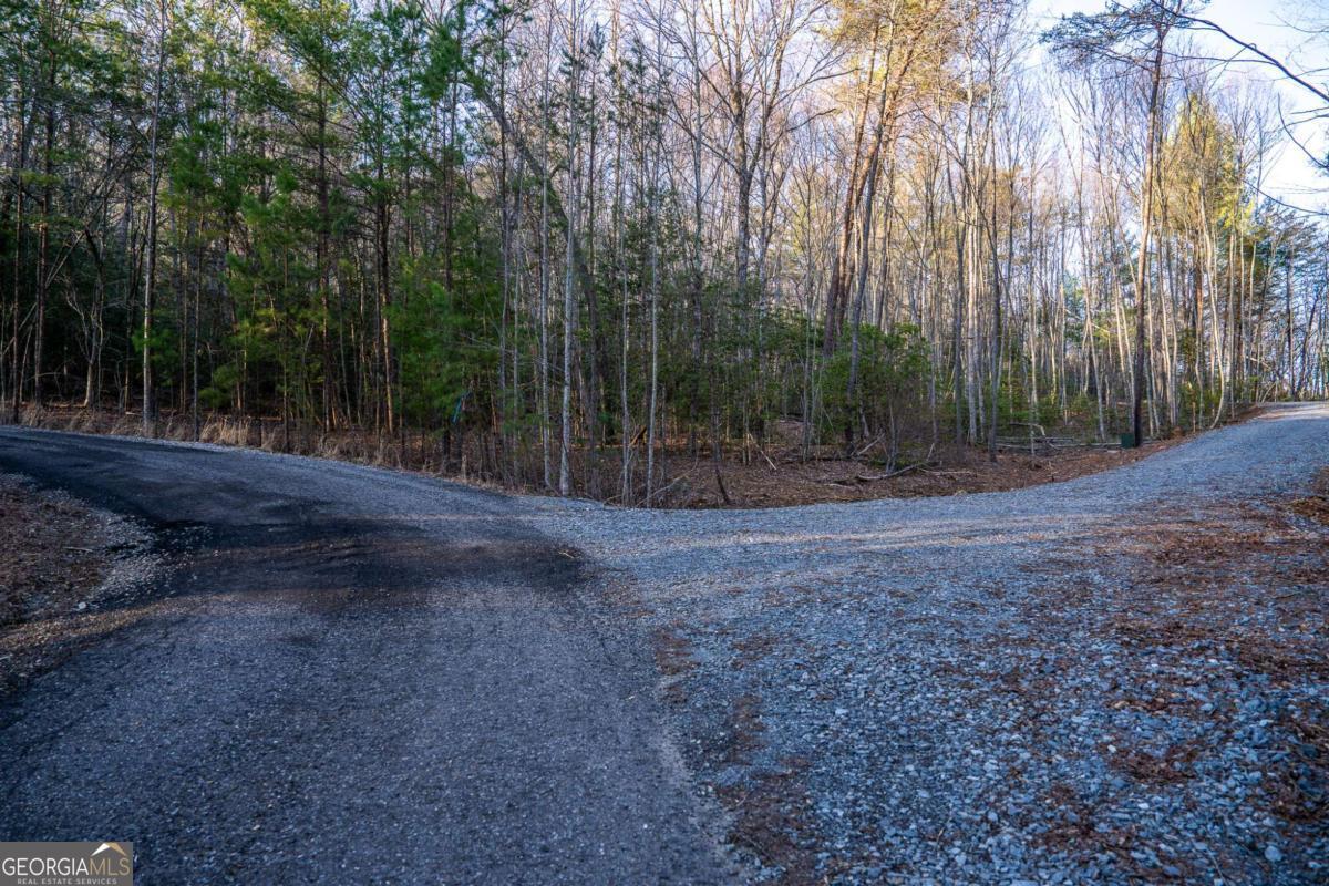 802 Mull Valley Road Morganton, GA 30560 - Photo 73 of 75 a view of a yard with trees