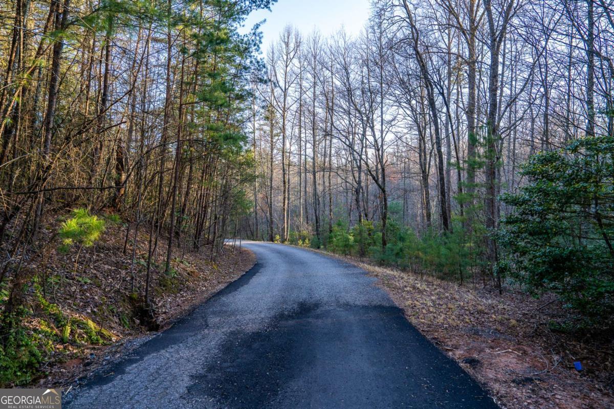 802 Mull Valley Road Morganton, GA 30560 - Photo 74 of 75 a view of a garden with plants and trees