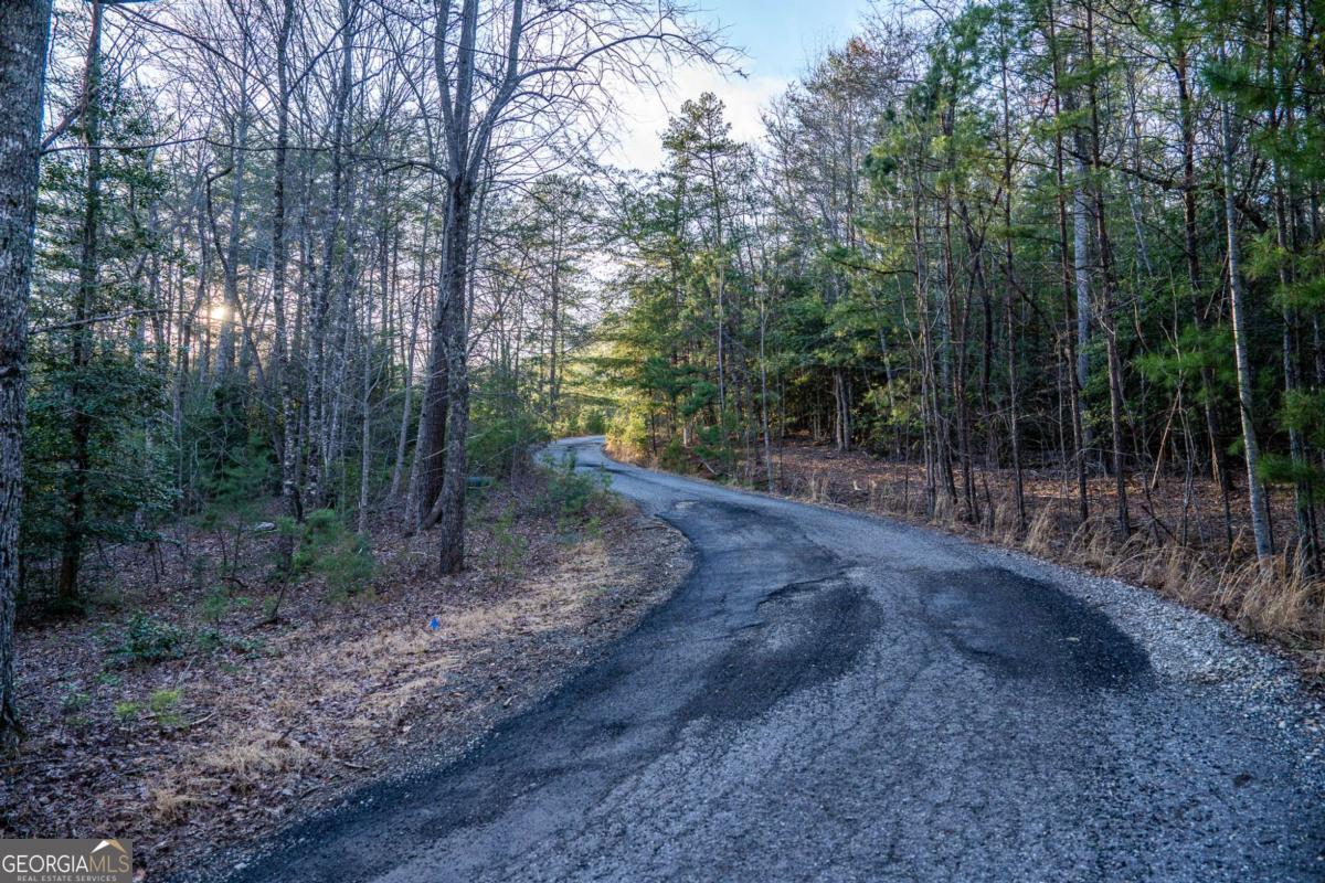 802 Mull Valley Road Morganton, GA 30560 - Photo 75 of 75 a view of a forest with trees in the background