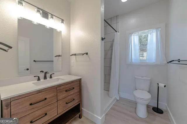 a view of a lush green forest with a mountain in the background