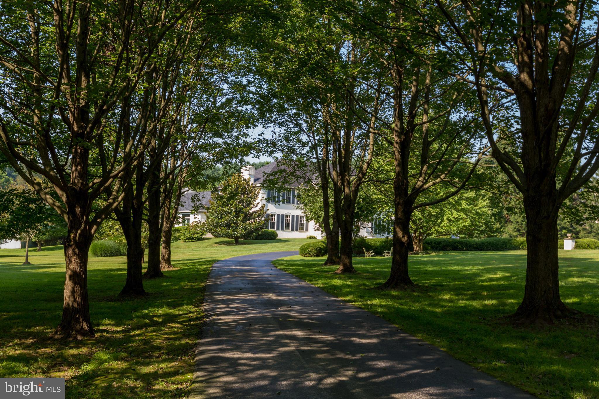 333 Boot Road Malvern, PA 19355 - Photo 50 of 56 Tree-lined Driveway.