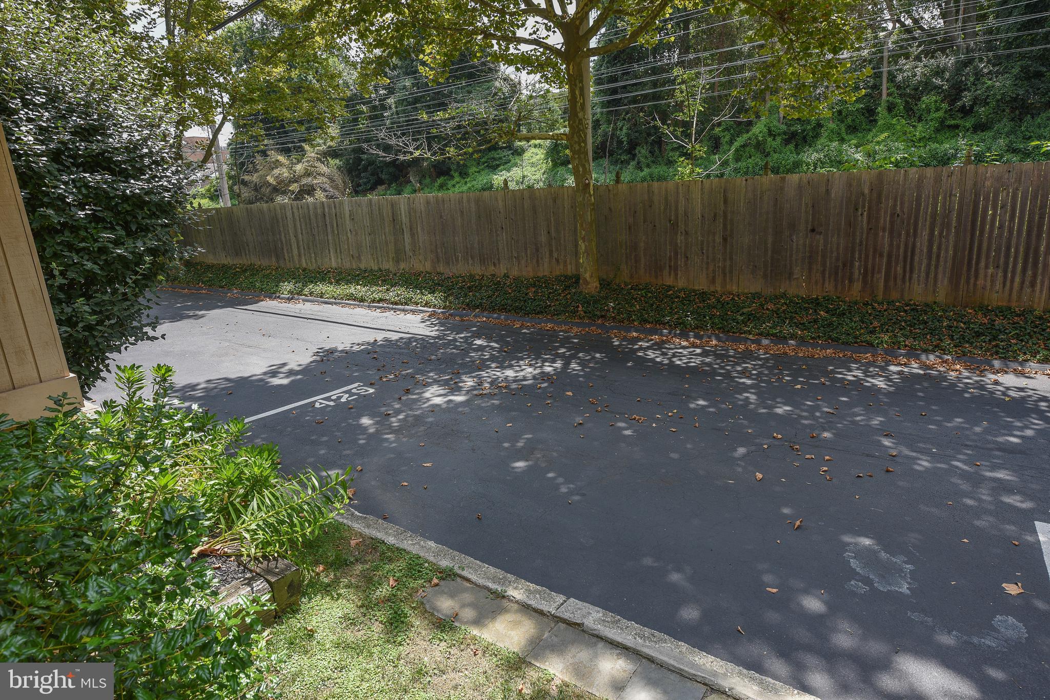 429 Eagle Road Wayne, PA 19087 - Photo 36 of 41 a view of a backyard