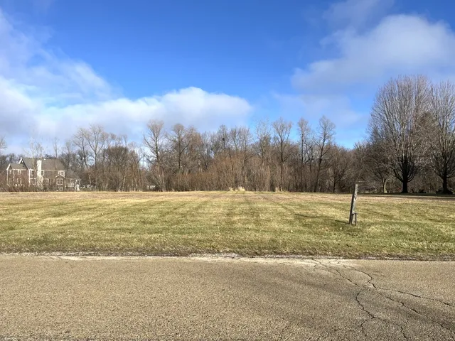 a view of a yard with a large trees
