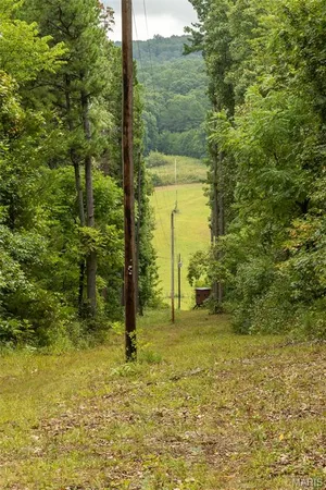 $499,000 | 10300 Prescott Road, Licking, MO 65542