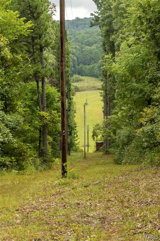 10300 Prescott Road Licking, MO 65542 - Photo 54 of 90
