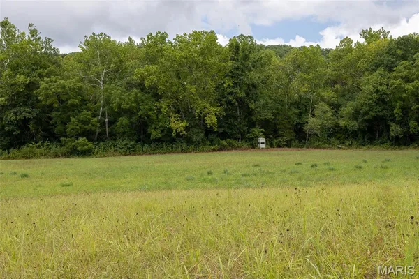 $499,000 | 10300 Prescott Road, Licking, MO 65542