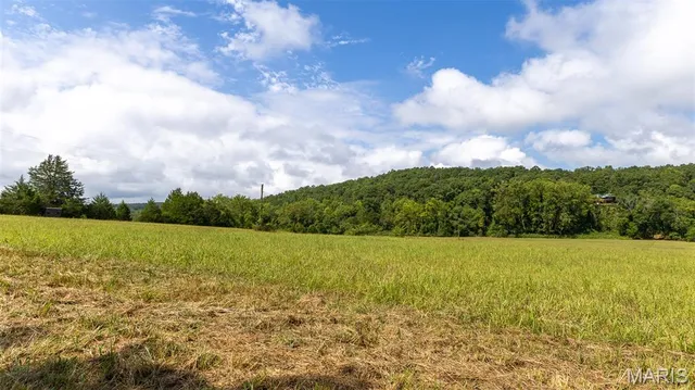 $539,000 | 10300 Prescott Road, Licking, MO 65542