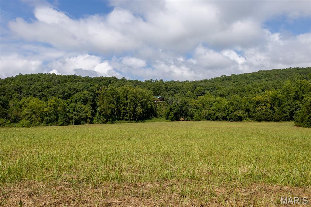 10300 Prescott Road Licking, MO 65542 - Photo 58 of 90