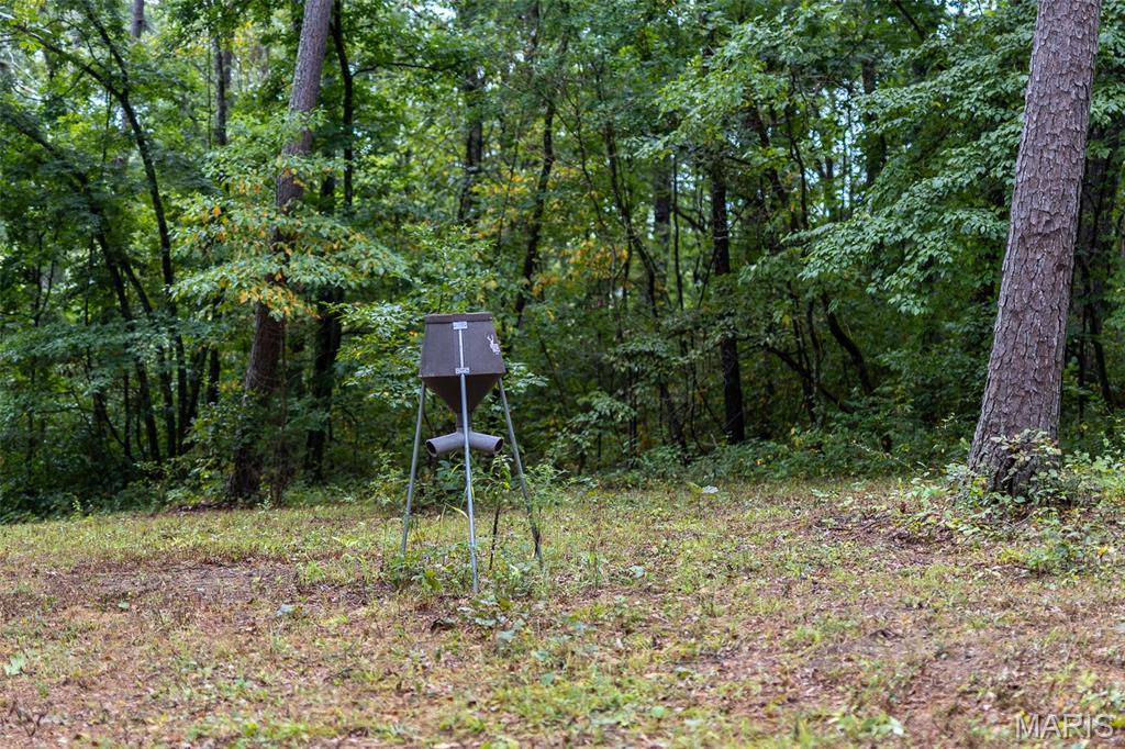 10300 Prescott Road Licking, MO 65542 - Photo 59 of 90