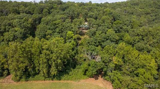 $539,000 | 10300 Prescott Road, Licking, MO 65542