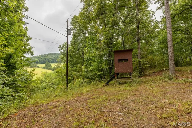 $539,000 | 10300 Prescott Road, Licking, MO 65542